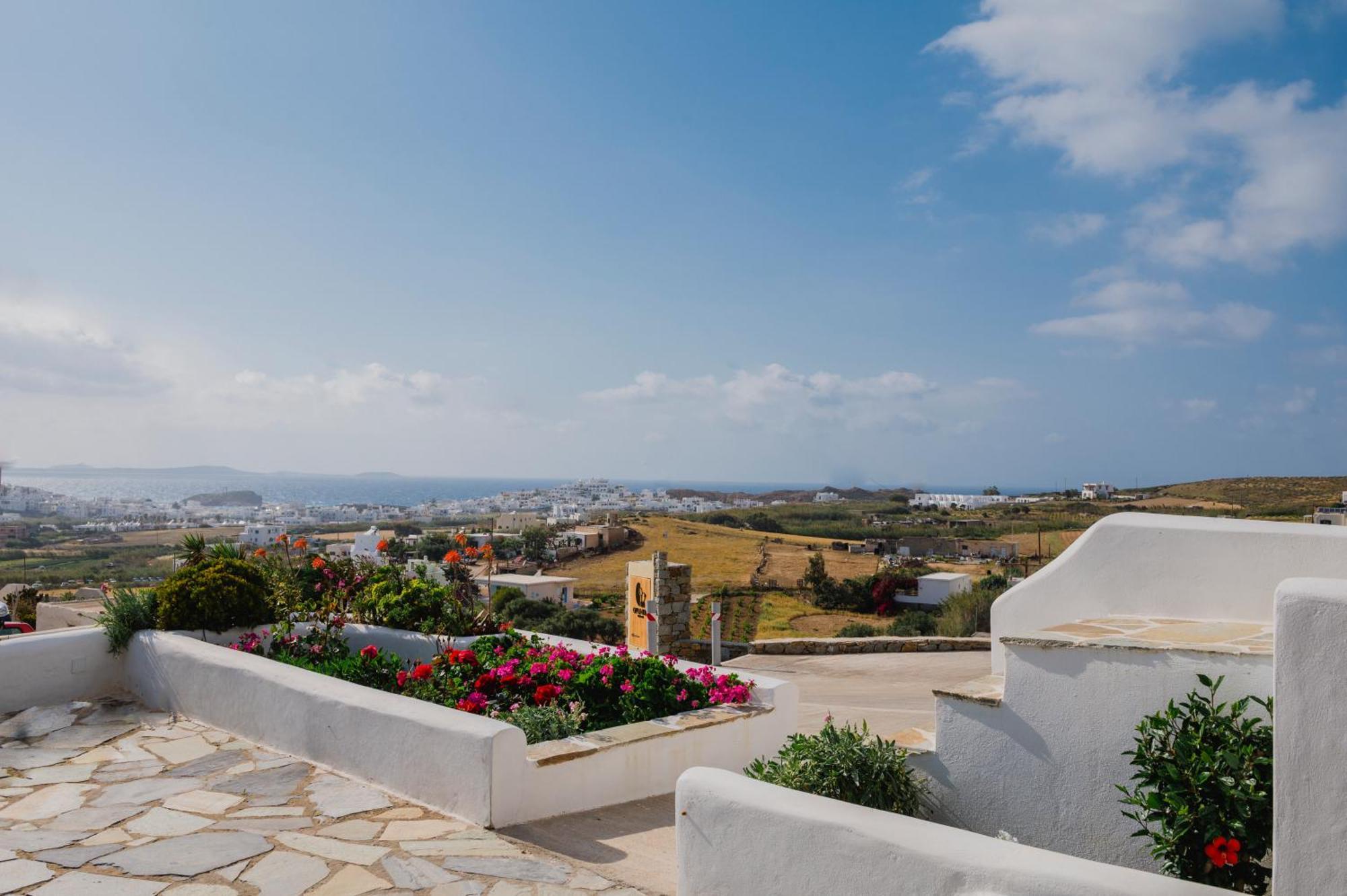 Petros Studios & Suites Naxos City Номер фото